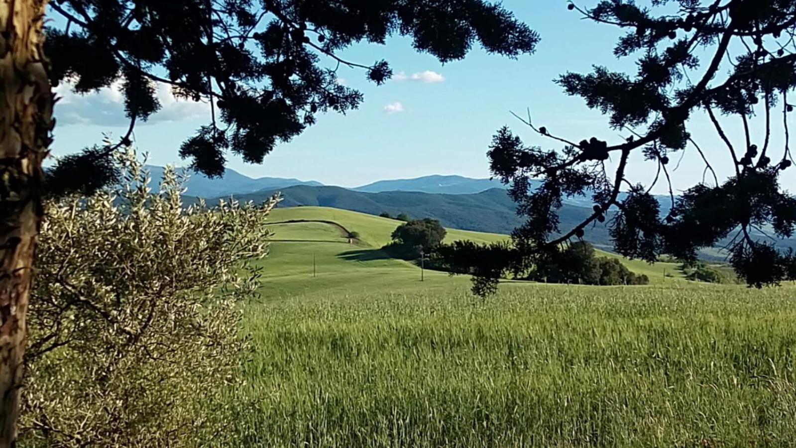 La Pecora Verde San Gimignano Buitenkant foto